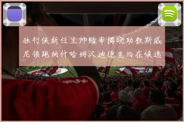 独行侠新任主帅赔率揭晓助教斯威尼领跑纳什哈姆汉迪德克均在候选之中
