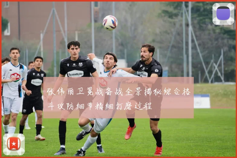 张伟丽卫冕战备战全景揭秘综合格斗攻防细节精细打磨过程